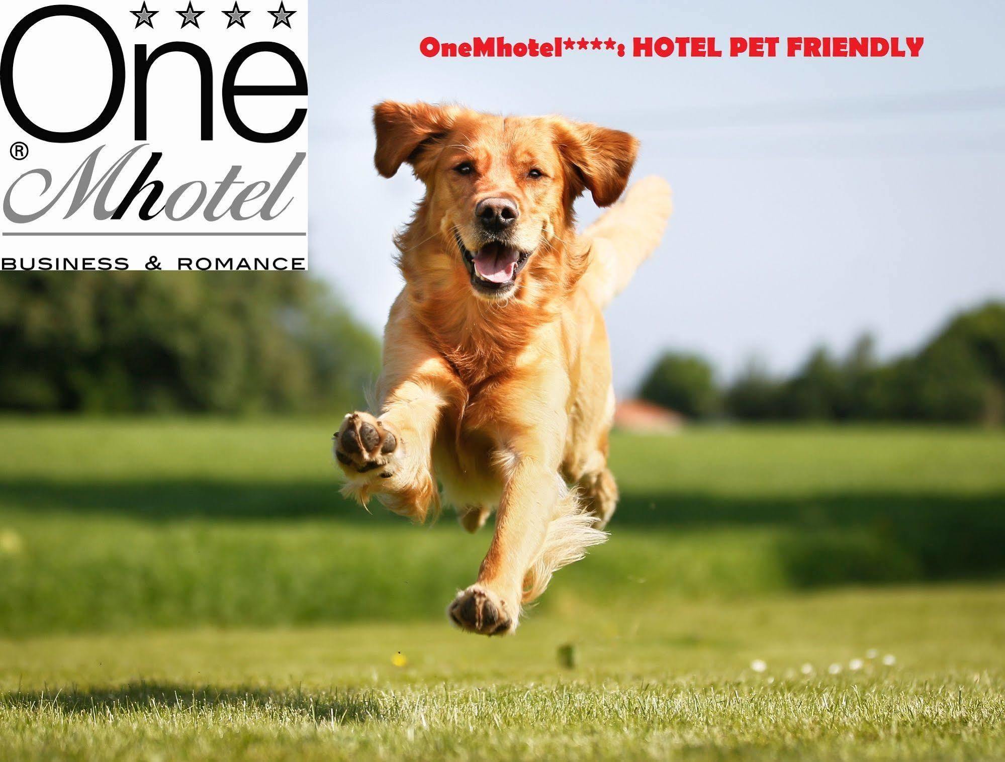 Hotel Onemhotel San Paolo (Lombardy)